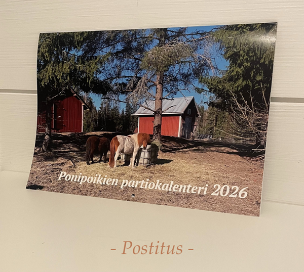 Product image of Ponipoikien partiokalenteri 2026 (postitus)