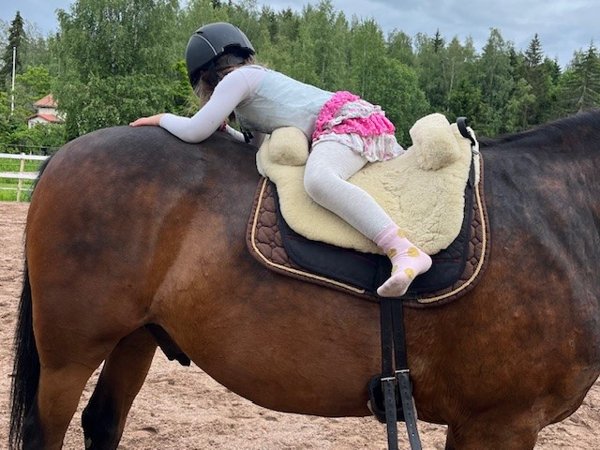 Product image of  Eläinavusteinen läsnäolohetki 1,5 h