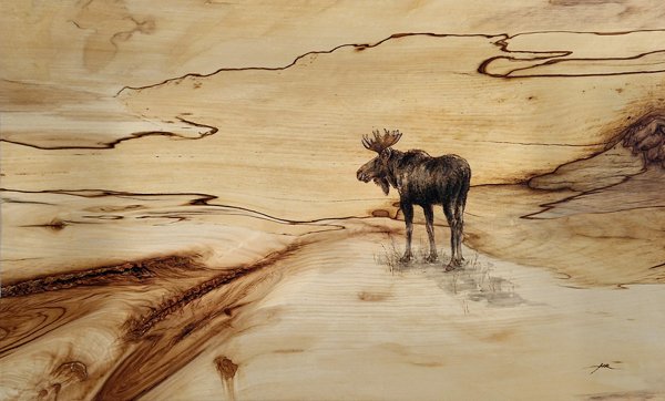 Product image of Sarvipää - Moose, 2025.