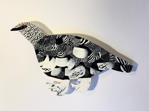 Product image of  Kiiruna