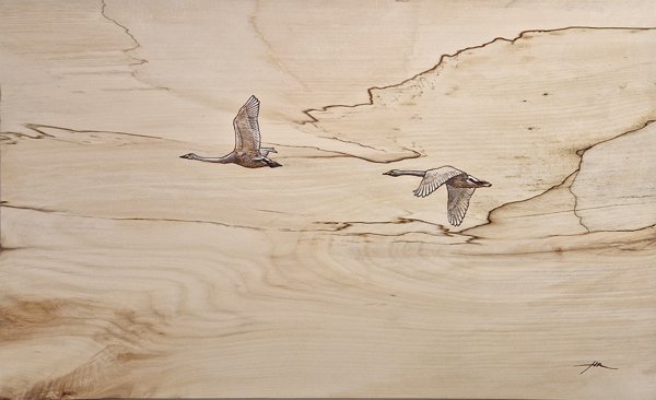 Product image of  Matkalla - On the way, 2025.