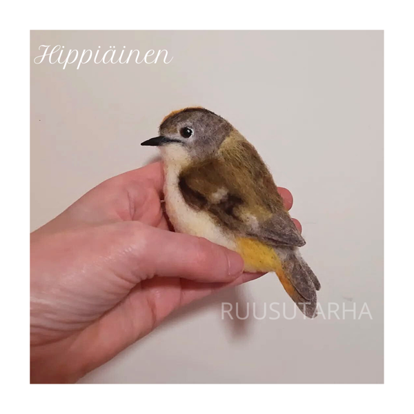 Product image of  Asustekoru LINTU / TAMMIKUU