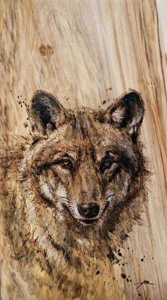 Product image of Susi - Wolf, 2025