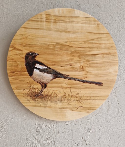 Product image of  Hutunkeittäjä - Magpie, 2025.