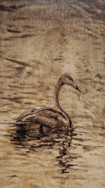 Product image of  Välke - Gleam, 2025.