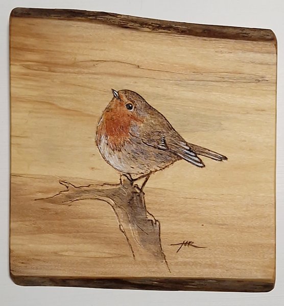 Product image of  Punarinta 3 - Robin, 2024.