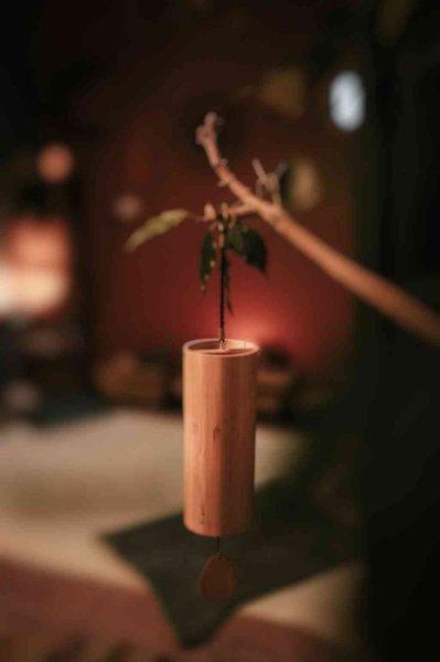 Product image of  Tantrinen hieronta ilman lantionpohjahoitoa