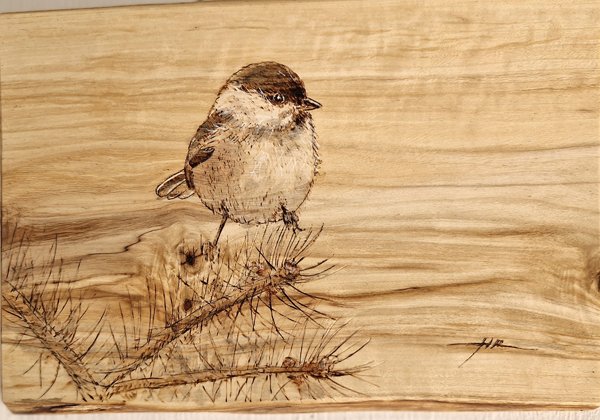 Product image of  Hömötiainen 4 - Willow tit, 2025.