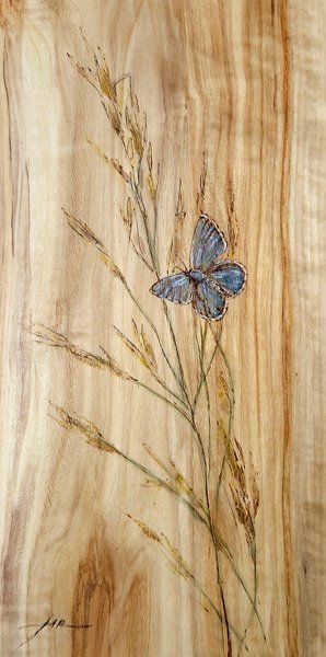 Product image of  Sinisiipi - Blue butterfly, 2025.