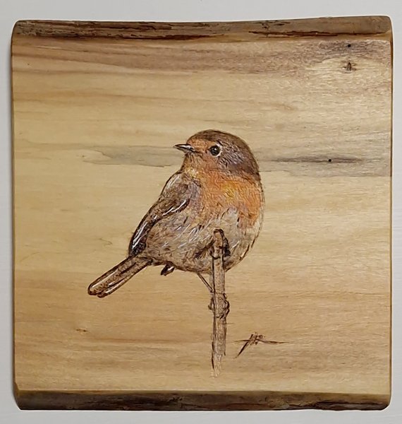 Product image of  Punarinta 1 - Robin, 2024.