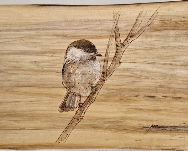 Product image of  Hömötiainen 3 - Willow tit, 2025.