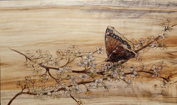 Product image of  Suruvaippa - Mourning cloak, 2025.