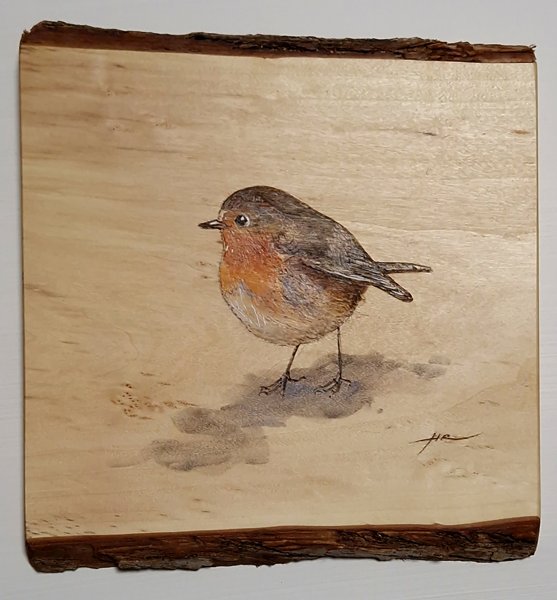 Product image of  Punarinta 4 - Robin, 2024.