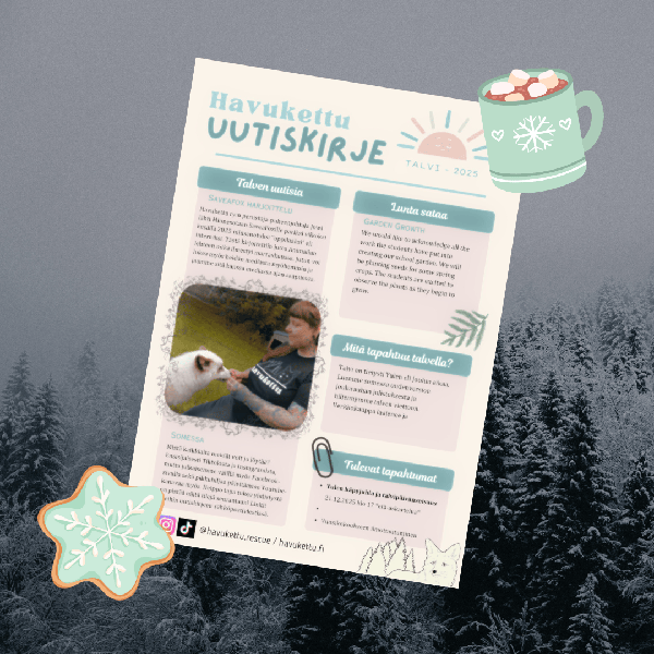 Product image of  Uutiskirje Talvi 2025 Ei-jäsenille