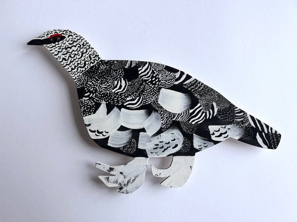 Product image of Kiiruna