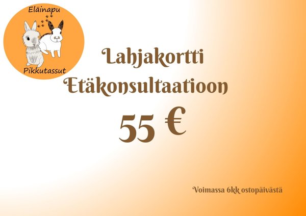 Product image of Lahjakortti Etäkonsultaatioon