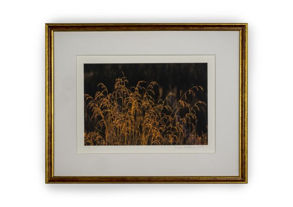 Product image of  Nurmilauhat -valokuvataulu 21 x 29 cm