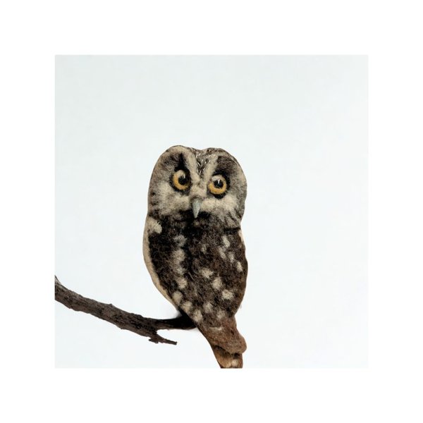 Product image of  Asustekoru PÖLLÖ