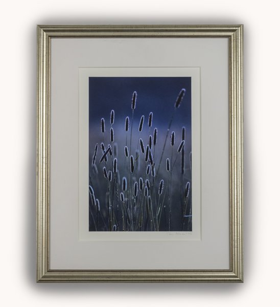 Product image of  Timoteit -valokuvataulu 29 x 21 cm