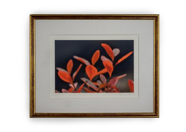 Product image of  Juolukka -valokuvataulu 21 x 29 cm