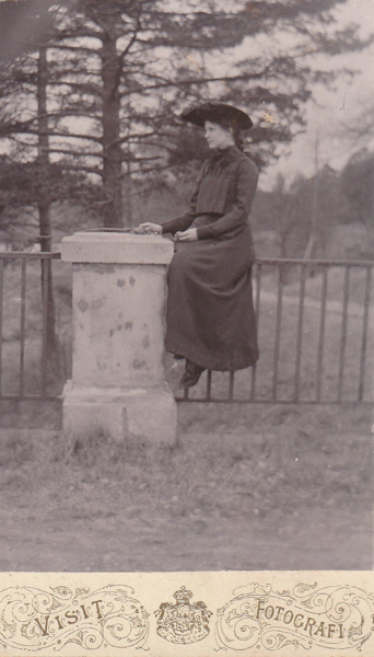 Product image of  Sukututkijan maanantaitunti kevät 2026 etäluentoina