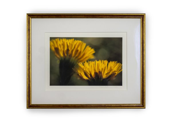 Product image of  Leskenlehti -valokuvataulu 21 x 29 cm