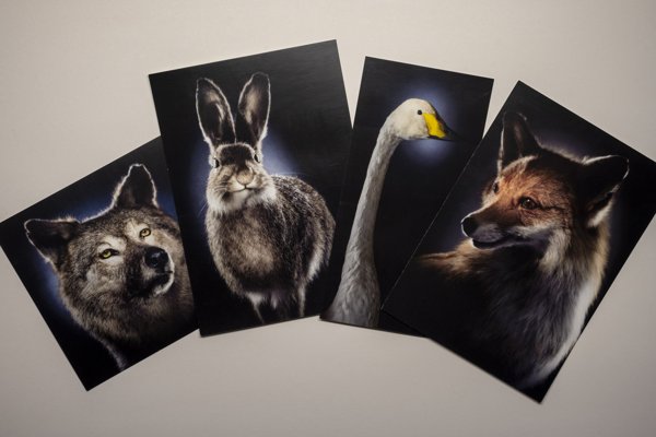 Product image of  Ilvolan väkeä -postikortit 4 kpl sarja