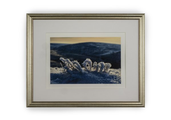 Product image of  Talviset tunturiheinät -valokuvataulu 21 x 29 cm