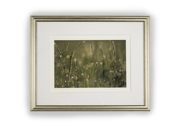 Product image of  Kasteinen heinäpelto -valokuvataulu 21 x 29 cm