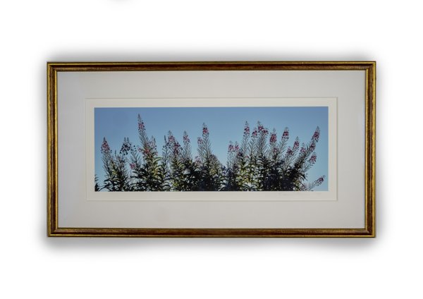 Product image of  Maitohorsmat- valokuvataulu, 19 x 44 cm