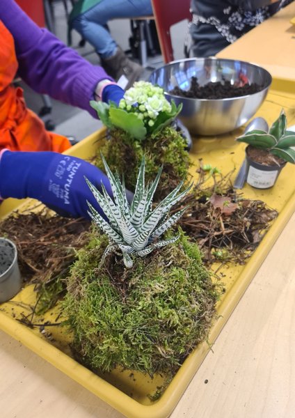 Product image of KOKEDAMA IN ENGLISH