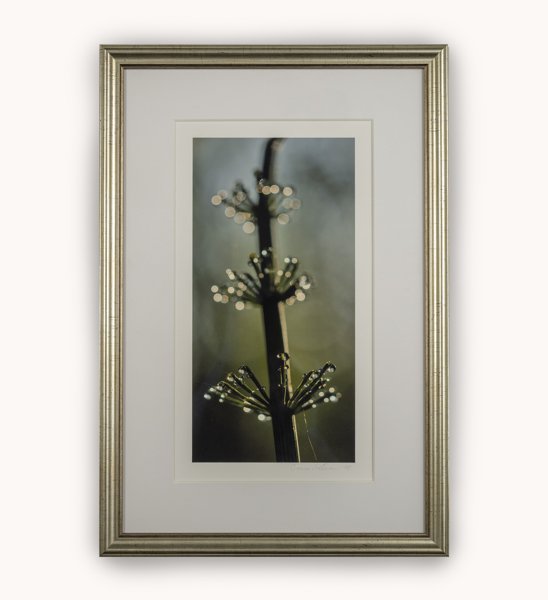 Product image of  Korte nousee -valokuvataulu, 19 x 33 cm