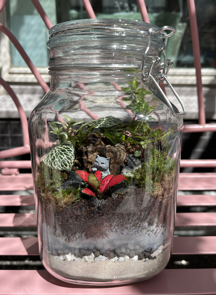 Product image of βοΈ "Evergreen nature" jar workshop (1 Drink and cake included)
