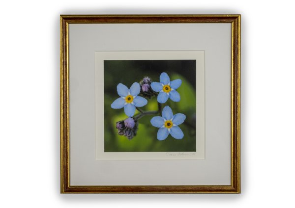 Product image of  Lemmikki- valokuvataulu, 21 x 21 cm