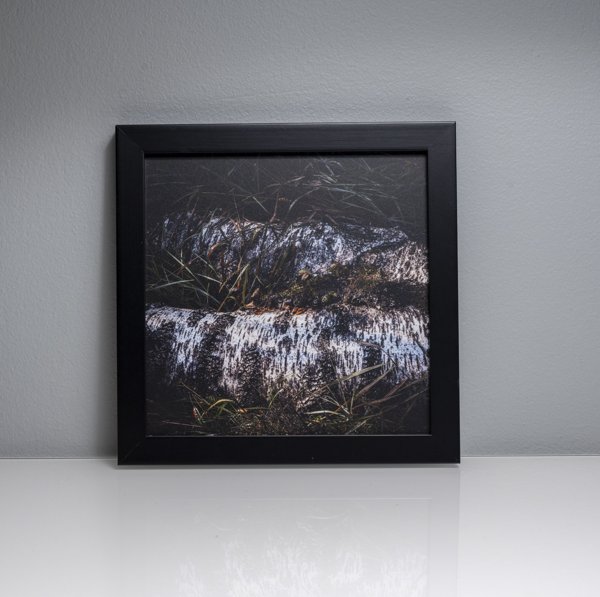 Product image of  Tellervon laulu #6, 17 x 17 cm