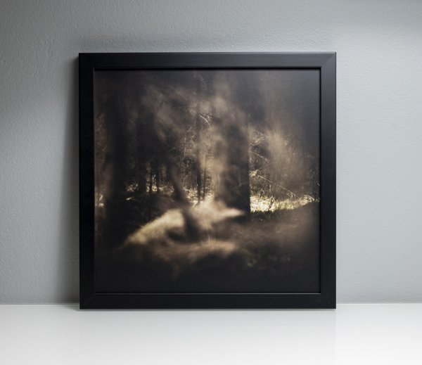 Product image of  Käreitär, -valokuvataulu, 25 x 25 cm