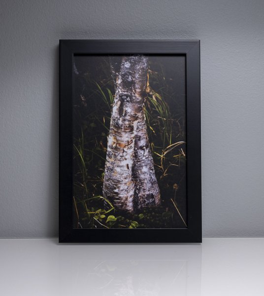 Product image of  Tellervon laulu #1, 21 x 14 cm