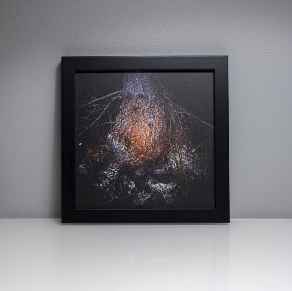 Product image of  Tellervon laulu #4, 17 x 17 cm