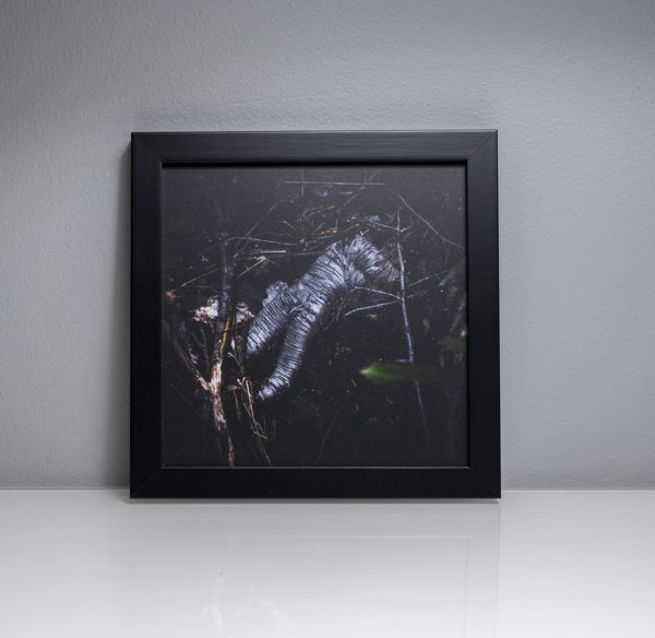 Product image of  Tellervon laulu #5, 17 x 17 cm