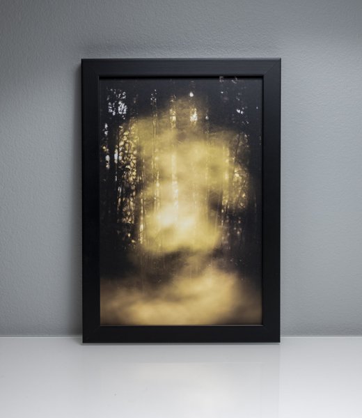 Product image of  Metsän henki, -valokuvataulu, 24 x 16 cm