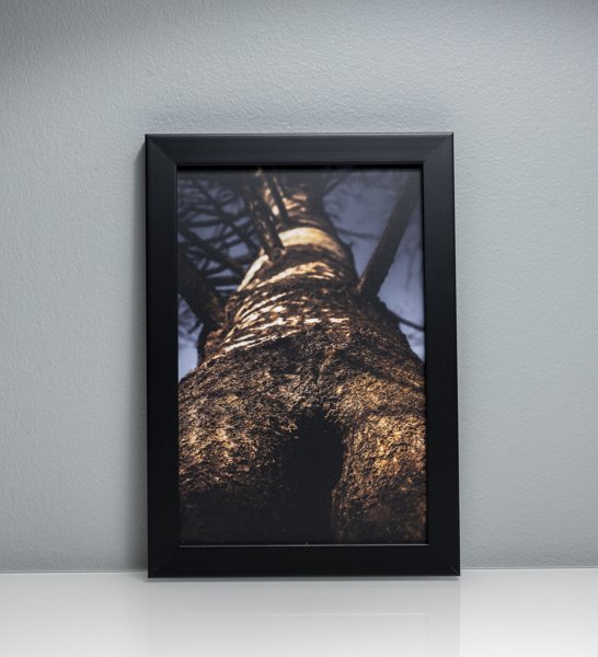 Product image of  Tellervon laulu #3, 21 x 14 cm