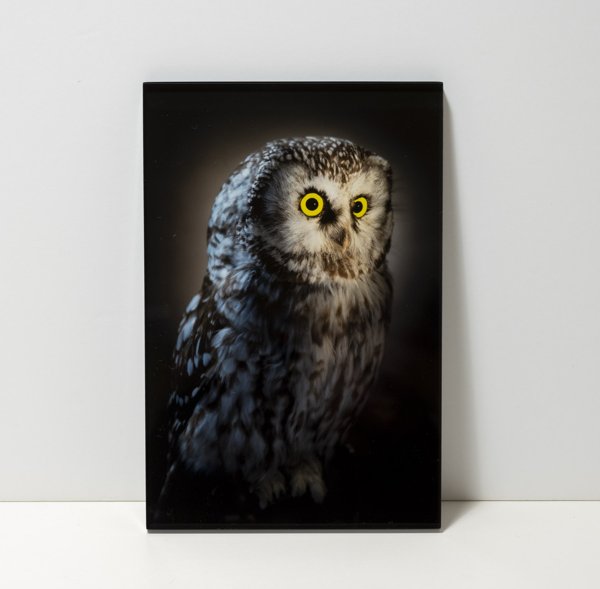 Product image of  Helmipöllö -kuvataulu, 24 x 16 cm