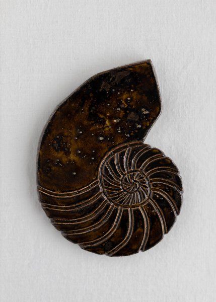 Product image of  Seashell - seinäteos