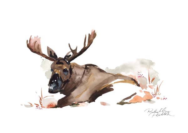 Product image of "Loikoillen" A4 juliste