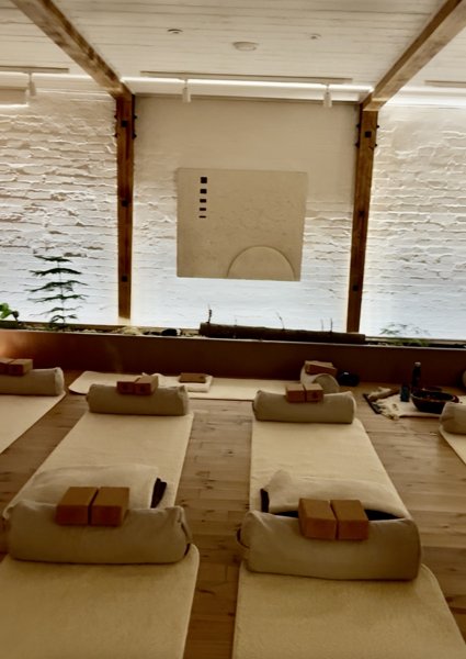 Product image of  Yin-kurssi: KERTAMAKSU