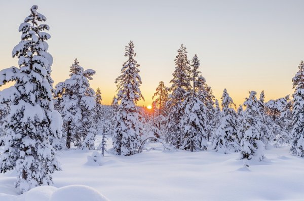 Product image of Uuden vuoden syntyminen - Talvipäivänseisauksen Meditaatio