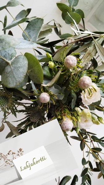 Product image of Hierontalahjakortti 60min