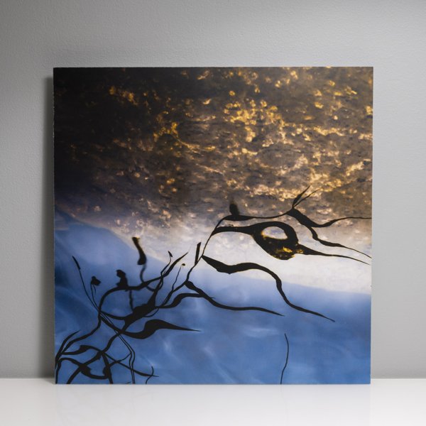 Product image of  Hetkenä tulit, 45 x 45 cm, 2016, valokuvataulu, editio 1/5