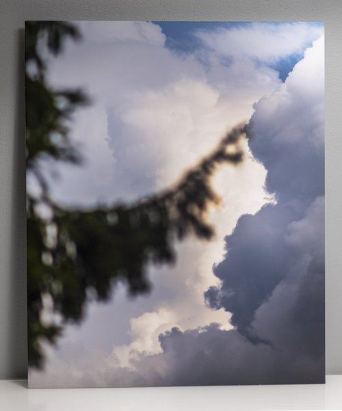 Product image of  Kuusen kosketus -valokuvataulu, 55 x 45 cm