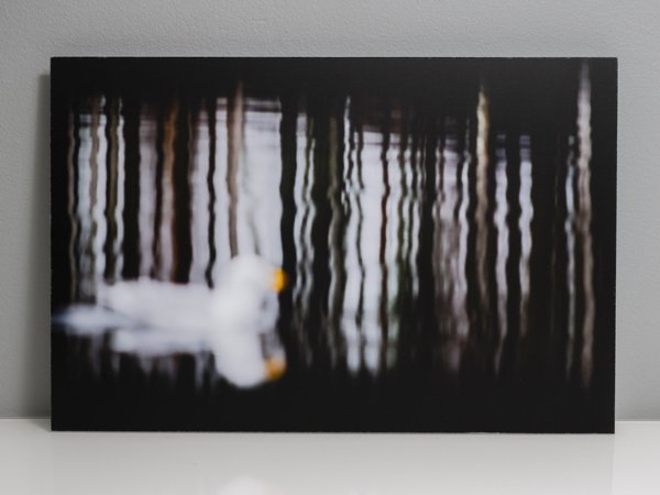 Product image of  Häivähdys, 45 x 30 cm, 2016, valokuvataulu, editio 1/5